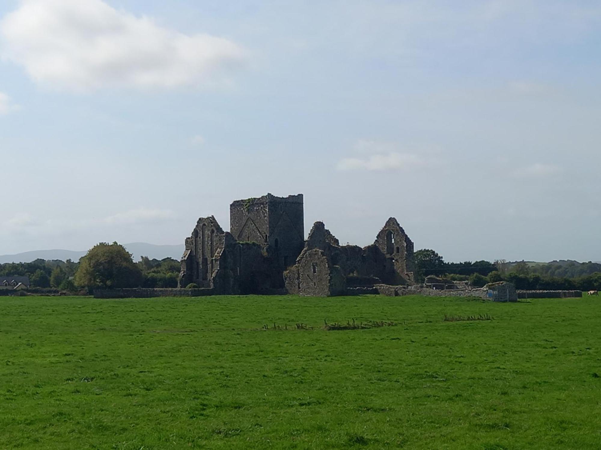 Kitty'S Cottage - Horse And Jockey, Cashel Thurles Eksteriør bilde